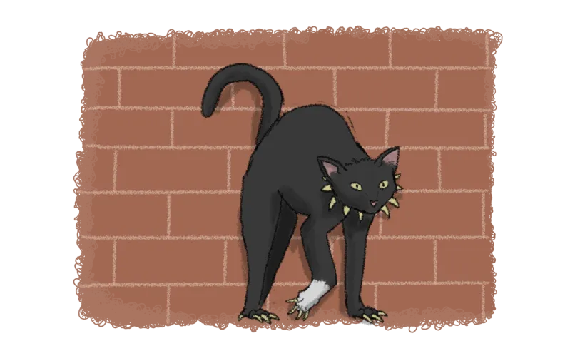 black cat with one white paw, large claws and spiked collar, arching its back